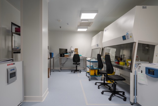 Torlak Project image 4